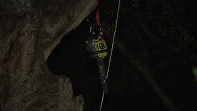 Man dies in tree-trimming accident while preparing for Dorian