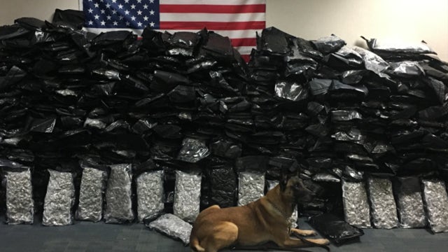 Florida Highway Patrol K-9 busts U-Haul carrying $5 million worth of marijuana in Orlando