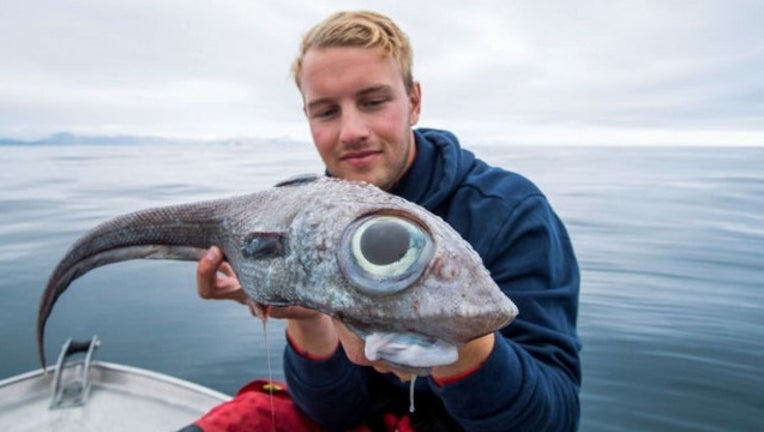 Fisherman catches strange, 'dinosaur-like' creature