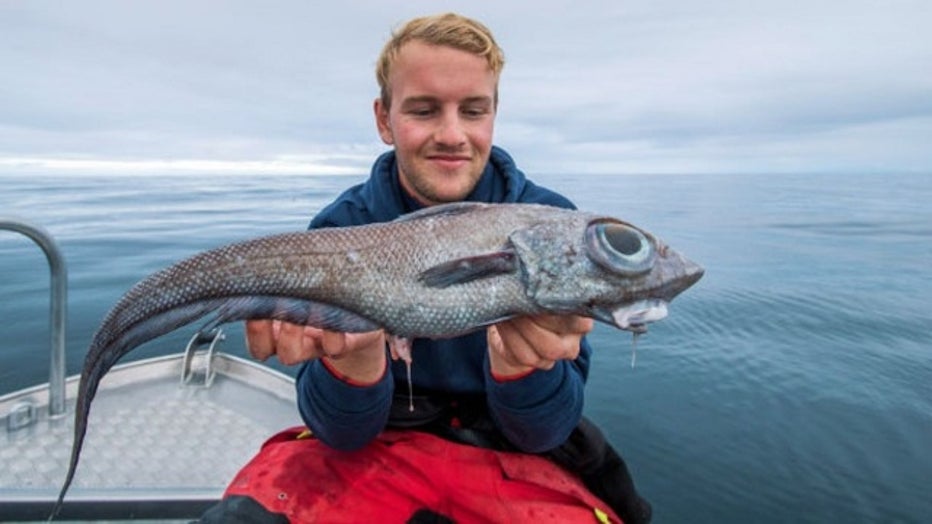 Fisherman catches strange, 'dinosaur-like' creature