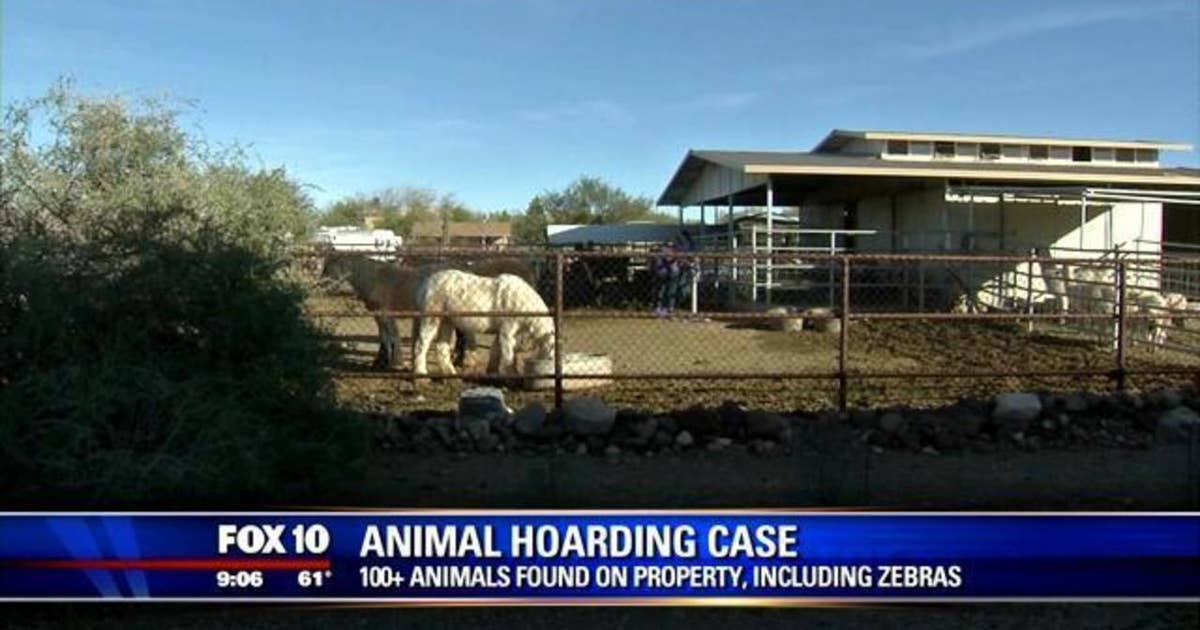 Former Phoenix police officer arrested in animal hoarding case | FOX 10 ...