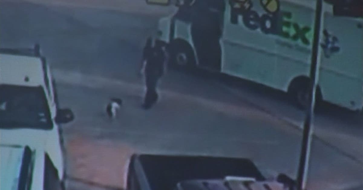 FedEx driver caught on camera taking puppies | FOX 10 Phoenix