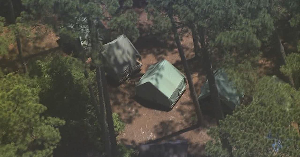 Officials identify Texas Boy Scout killed by falling tree at Georgia ...