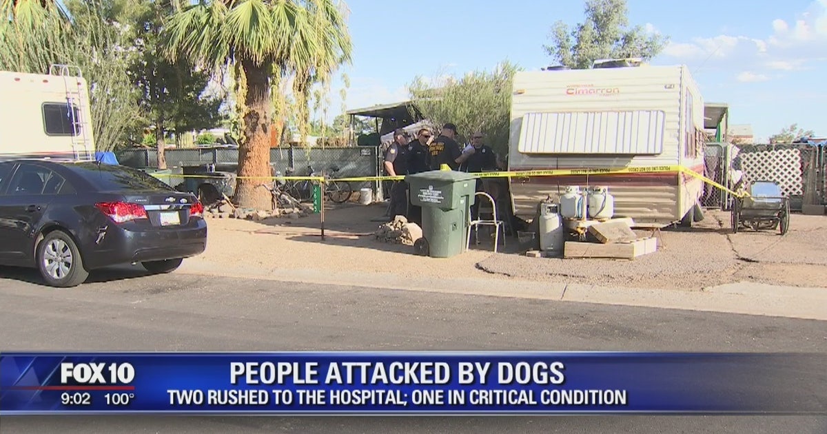 Pet owners nearly mauled to death by their group of canines | FOX 10 ...