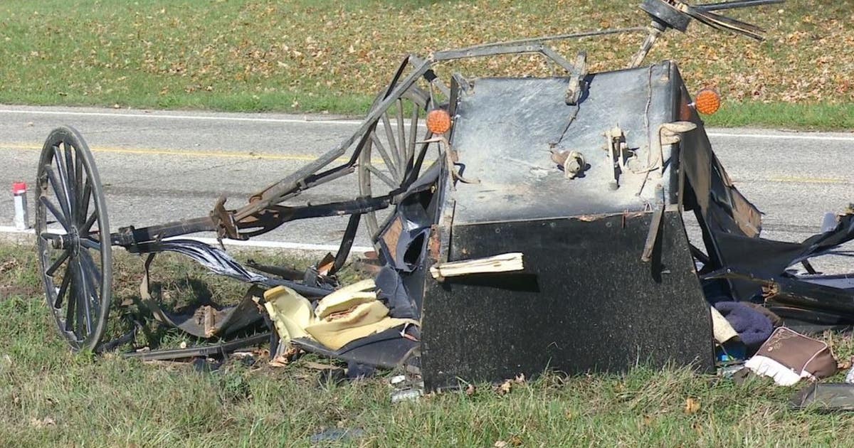 3 kids killed, 6 others injured as truck hits horse-drawn buggy in ...