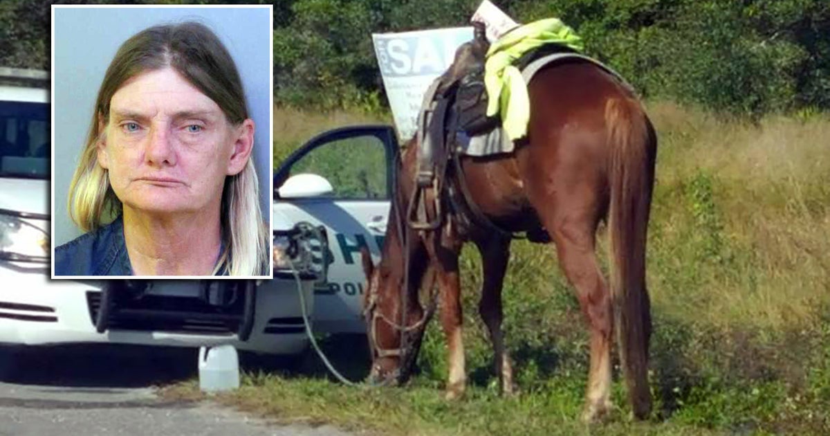 Florida woman arrested for DUI while riding a horse | FOX 10 Phoenix