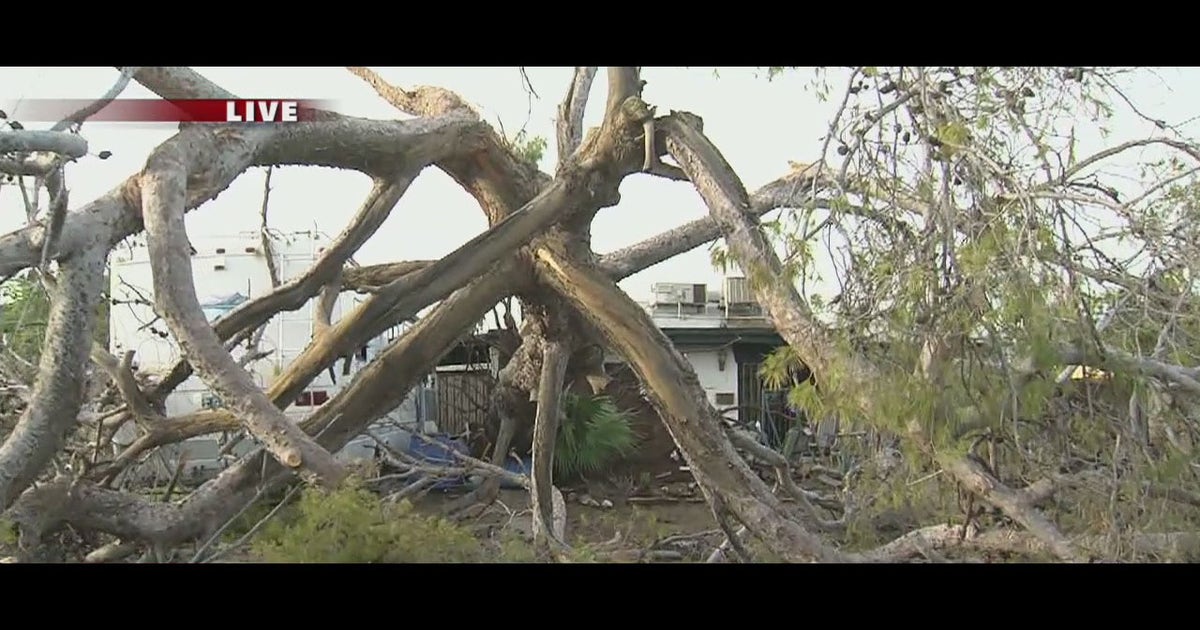 Cleanup begins after Monday's Monsoon sweeps across the valley | FOX 10 ...