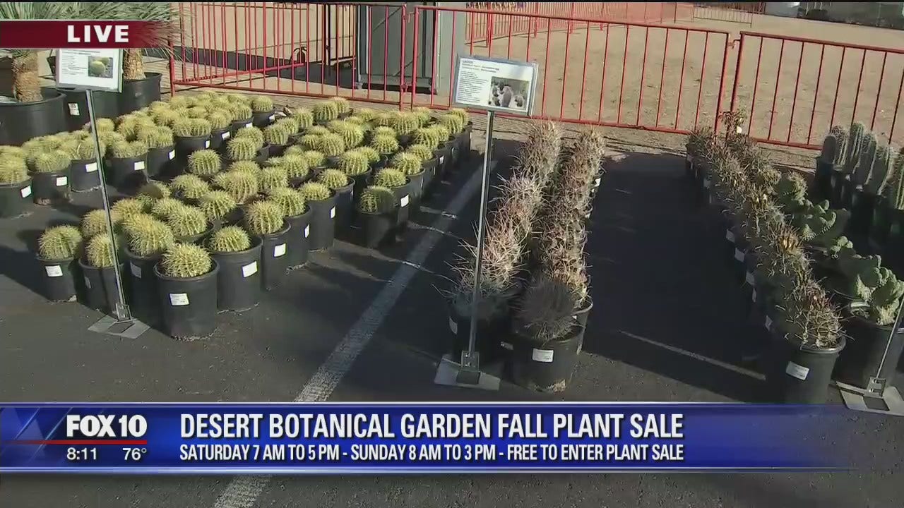 Thrifty Thursday Desert Botanical Garden Fall Plant Sale