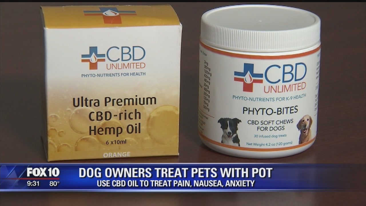 phyto bites soft chews