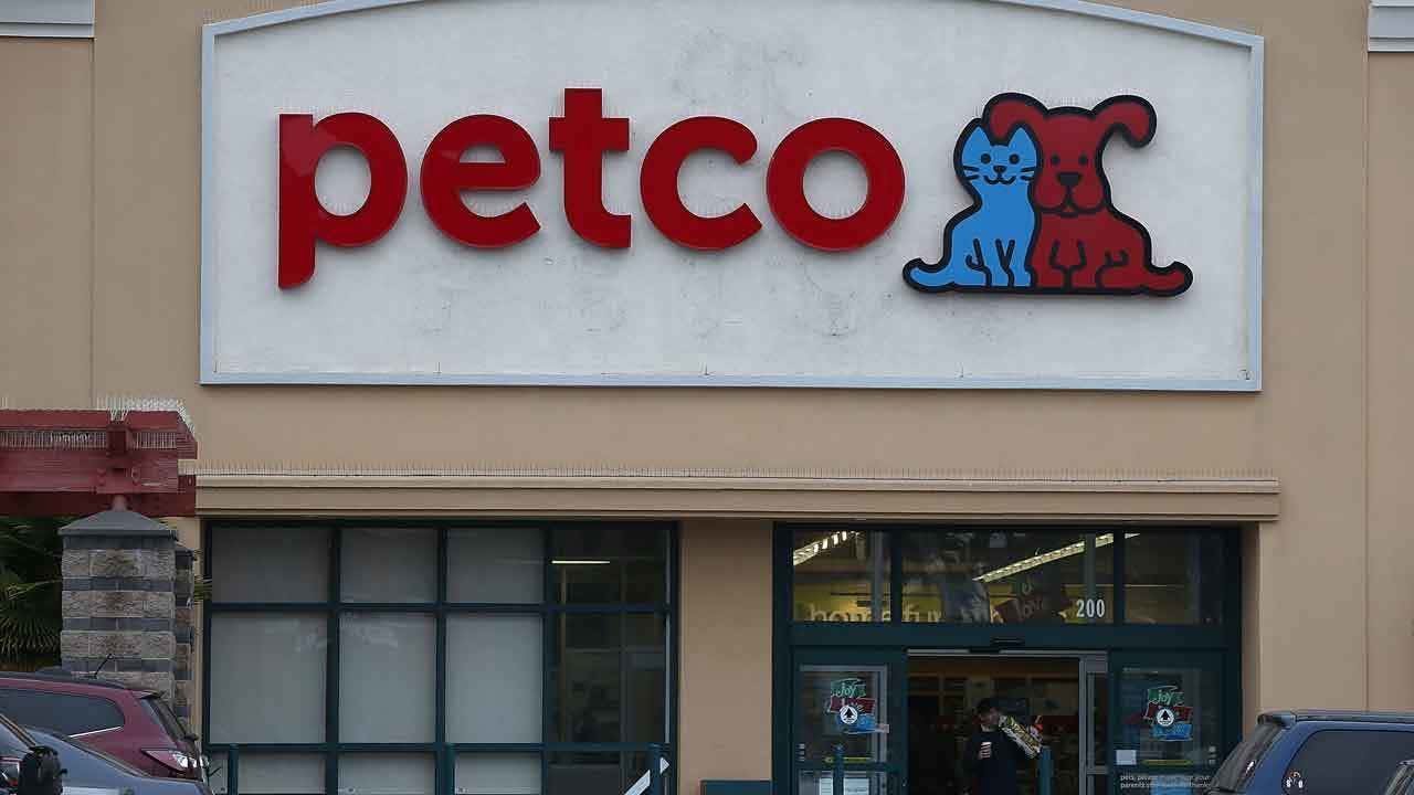 Nearest store petco store