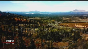 Scenic chairlift at Arizona Snowbowl is one of the best places to see fall leaves