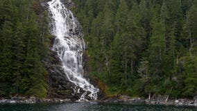 Trump administration proposes expanding logging in country’s largest national forest