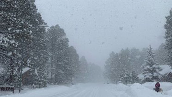 Forecasters: Snowfall to stymie travel in northern Arizona
