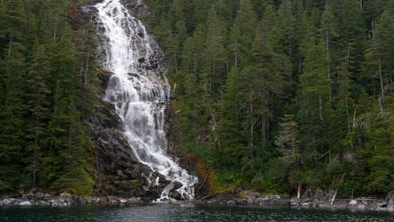 Trump administration proposes expanding logging in country’s largest national forest