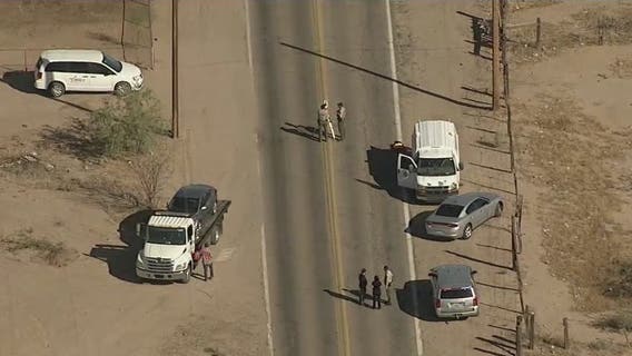 Sheriff's Office: Girls hit by car after running into street