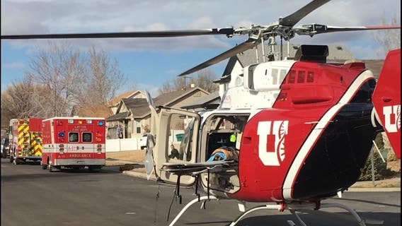 Husky rips hand off 4-year-old boy