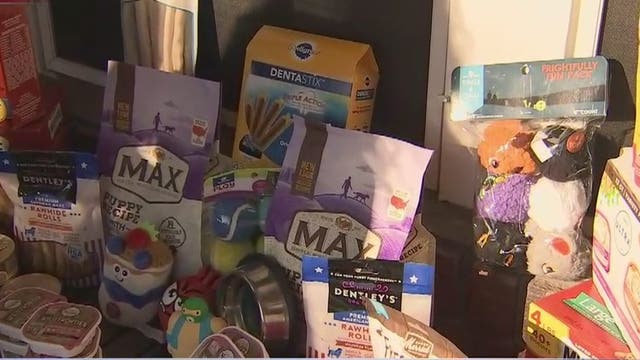 Boy collects donations for Valley animal shelter instead of receiving birthday presents