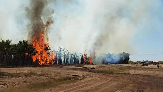 FD: Firefighters battle fire at palm tree farm in Casa Grande