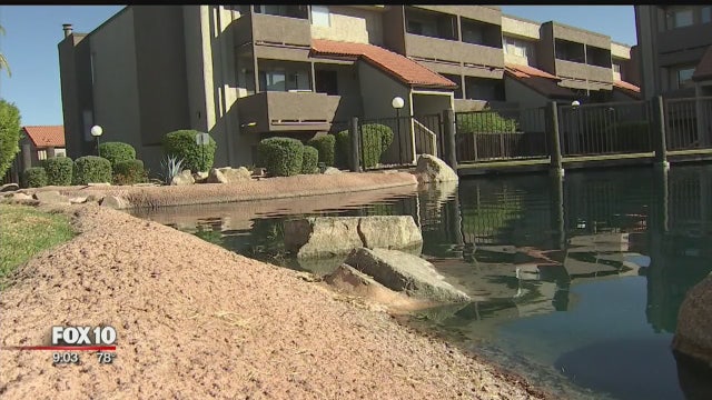 Near drowning call: 2-year-old found in a Mesa condominium complex pond