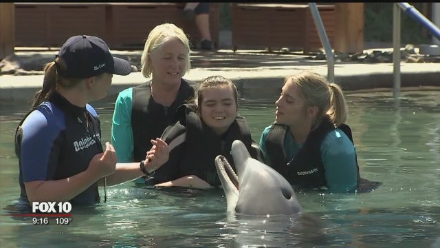 Dolphin-assisted therapy helping those with disability