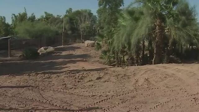 Behind-the-scenes of expanded elephant exhibit set to open at Phoenix Zoo