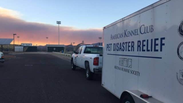 Arizona Humane Society sends disaster response team to Woodbury Fire