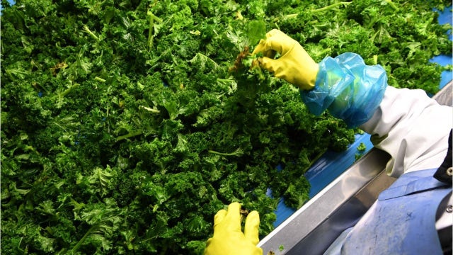 Kale, strawberries, spinach top ‘Dirty Dozen' list for pesticide contamination