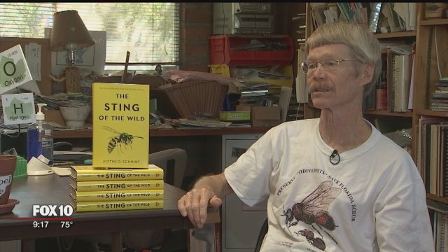 Man rates ants found in Arizona at the top of "pain list"