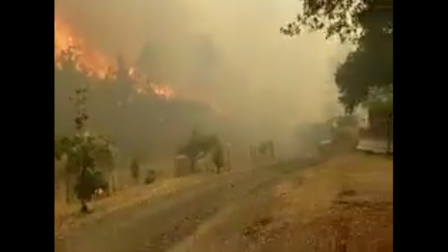Emergency alerts get scrutiny after deadly California wildfires in wine country