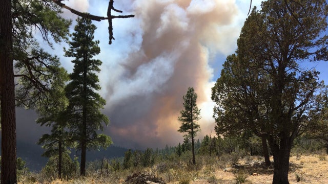 Tinder Fire containment grows to 79%
