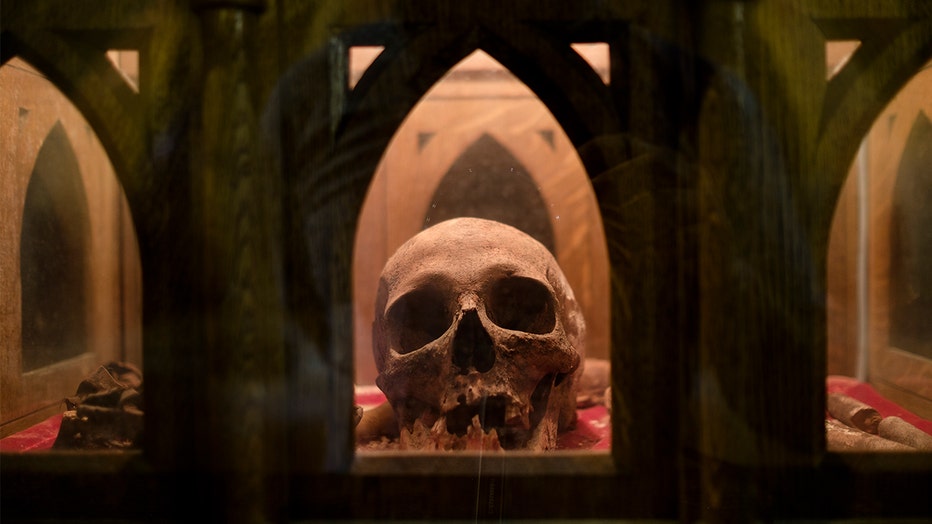 This photograph shows the skull of Nicolas de Fanson (1611/1652), 46th Abbot of Saint Hubert, on display Minor basilica of Saints-Pierre-et-Paul (Saint-Hubert).