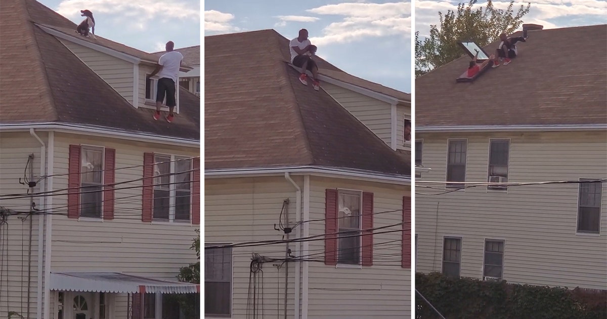 Kind stranger rescues dog from roof of Rhode Island home | FOX 10 Phoenix