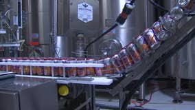 Made In Arizona: Local brewing company putting out craft beer for over a decade