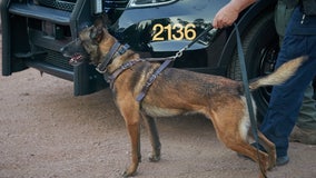 Police K-9, suspect killed in El Mirage officer-involved shooting