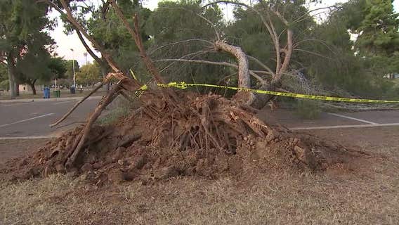 NWS confirms tornadoes blew through parts of the Valley