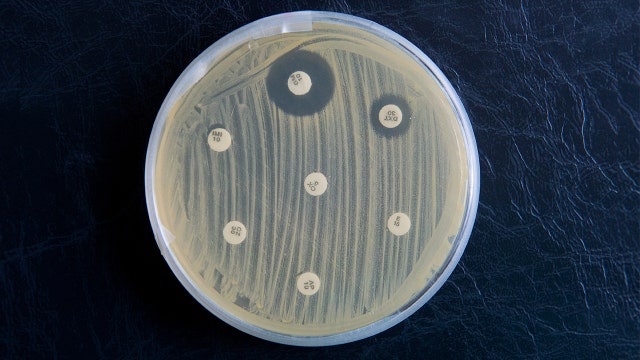 Superbug MRSA can remain on household surfaces for months, causing repeat infections, study shows