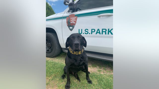 K9 officer retires after 56 'dog years' of service to National Park Service