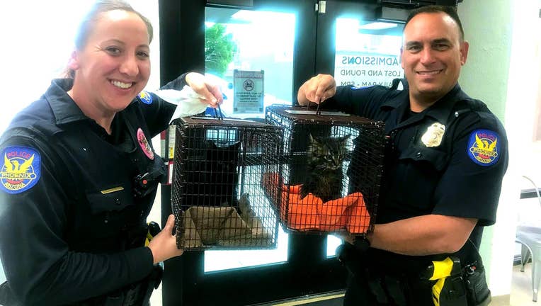 Photo of two Phoenix Police officers holding two cats, housed in two separate cages, after they were found soaked in gasoline