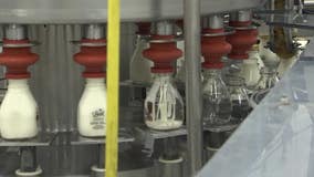 Made in Arizona: Valley dairy putting out good milk for decades