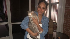 Deputies reunite family with cat that disappeared during Hurricane Irma 