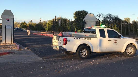 Multiple people attacked by bees in Glendale park; 1 man stung over 100 times