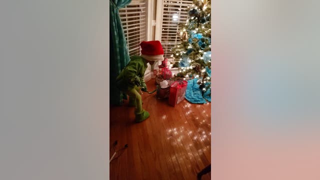 Georgia 'Grinch' steals Christmas along with our hearts