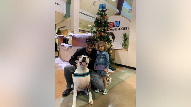 'Baby' finds forever home after being only pet left at adoption event