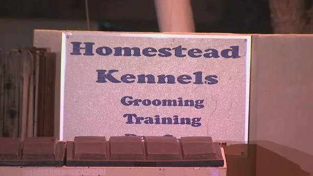 Firefighters save several dogs during 1st-alarm fire at Phoenix kennel