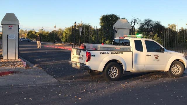 Multiple people attacked by bees in Glendale park; 1 man stung over 100 times