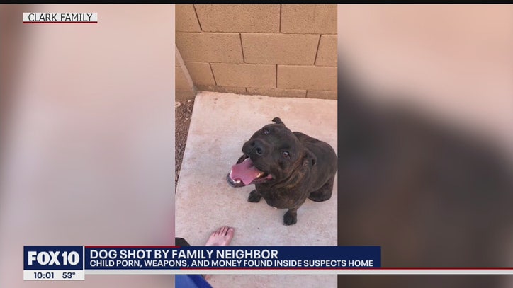 Police: Dog's death leads to discovery of child porn, weapons in ...
