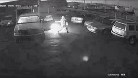 Police: Surveillance video captures man setting cars on fire in parking lot