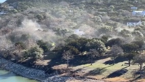 Grab the tissues: Video shows cedar 'spreading its joy' in Central Texas