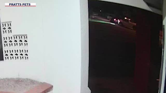 Video shows moments leading up to deadly hit and run in Mesa