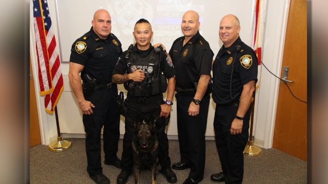 K9 Dobies celebrates retirement from Tarpon Springs Police Department